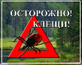 Осторожно клещи!